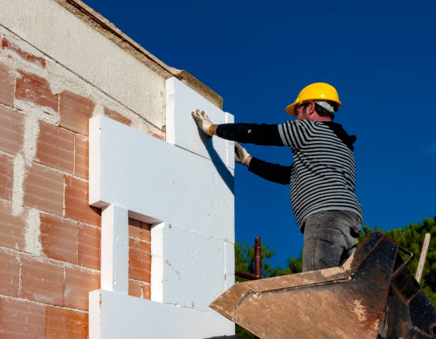 Best Local Insulation Services  in Palmetto Estates, FL